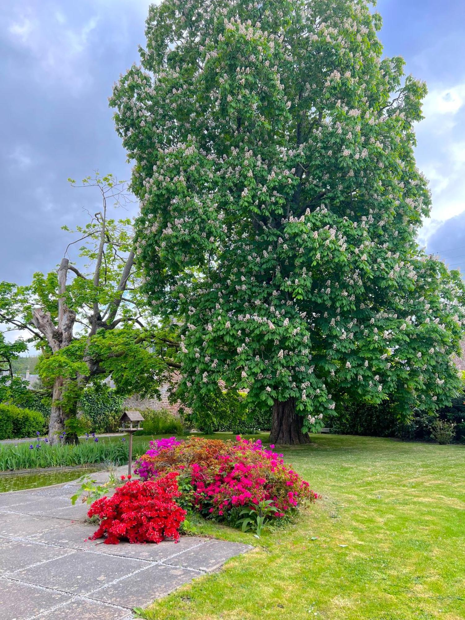 La Maison Gavraise Gavray-sur-Sienne Exterior foto
